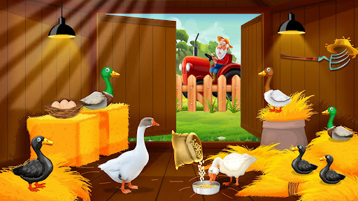 Duck Farm Eggs Chicken Poultry