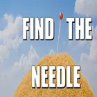 Find The Needle ПК