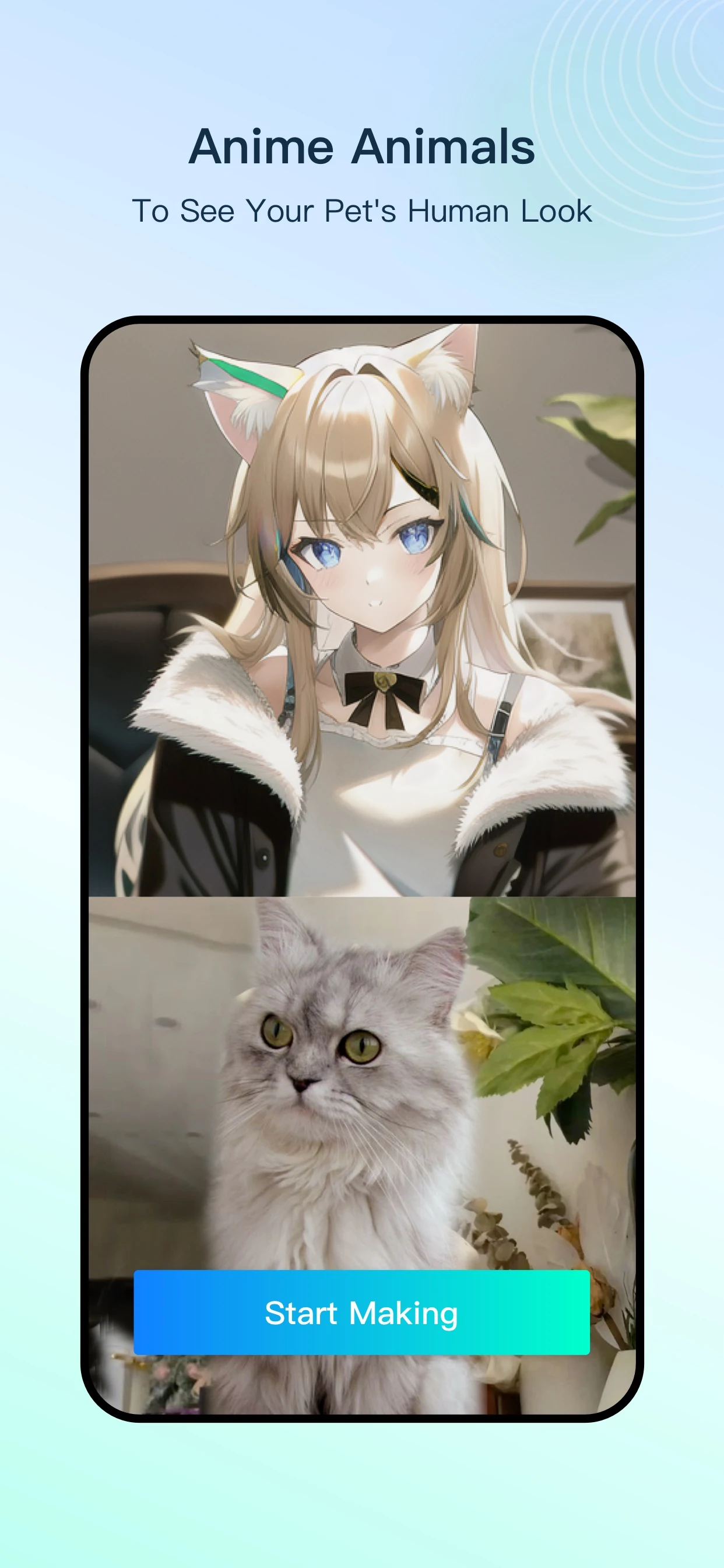 FacePlay - Face Swap Video PC