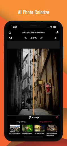 AILabTools-AI Photo Editor PC