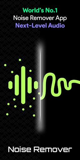 Audio/Video Noise Reducer পিসি