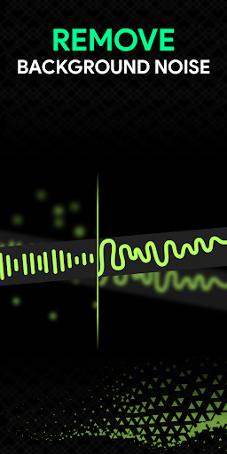 Audio/Video Noise Reducer পিসি