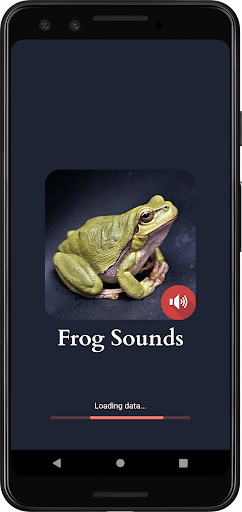 ব্যাঙের শব্দ পিসি