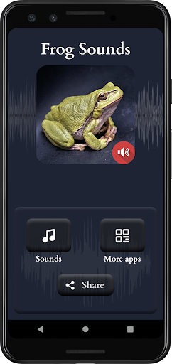 ব্যাঙের শব্দ পিসি