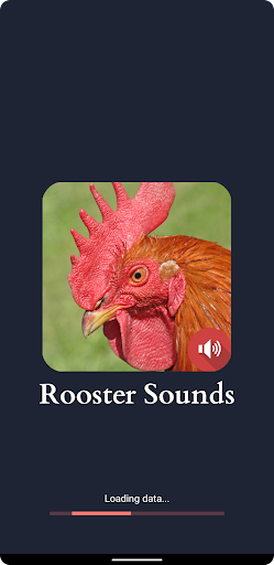 مرغ کی آوازیں پی سی