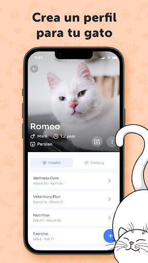 MeowTalk Beta