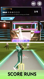 Cricket Fly - Sports Game PC