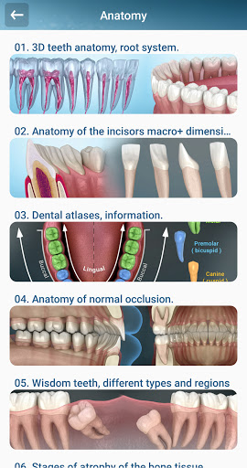 Dental 3D Illustrations PC