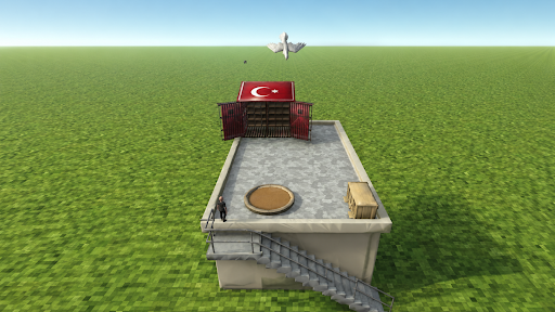 Pigeon Paradise PC