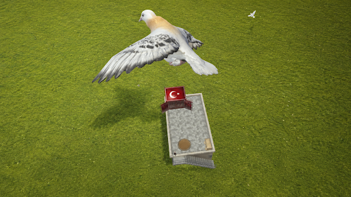 Pigeon Paradise PC