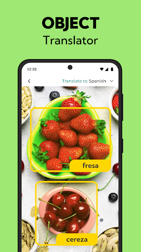 Voice All Languages Translator پی سی