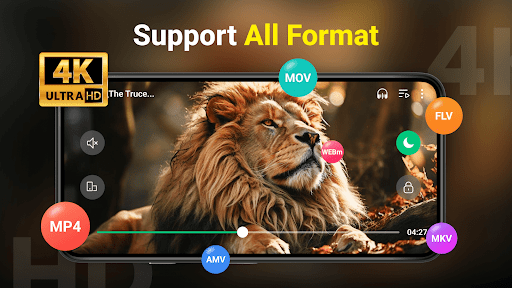 Video Player All Format