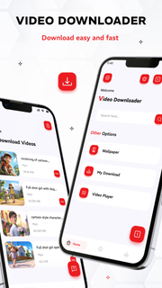 All Video Downloader PC