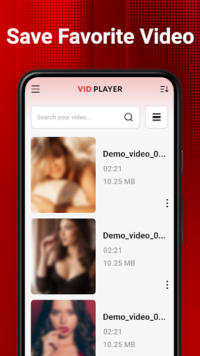Video Downloader PC