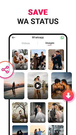 Video Downloader PC