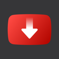 Video Downloader - Video Saver PC