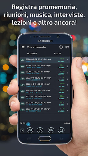 Registratore Vocale & Audio PC