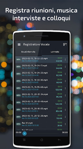 Registratore Vocale & Audio PC