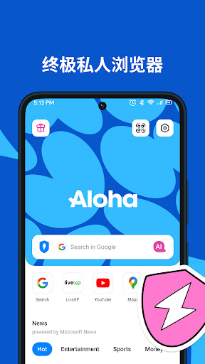 Aloha Browser + 私人VPN电脑版