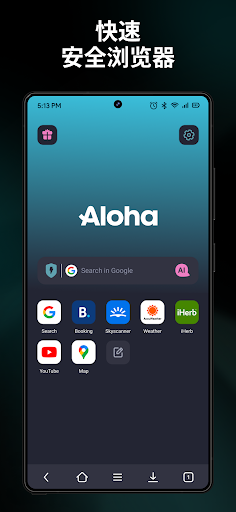 Aloha Browser + 私人VPN电脑版