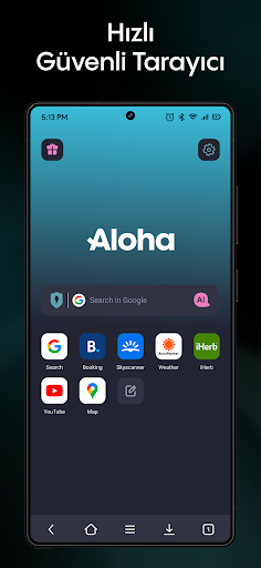 Aloha özel Tarayıcı - VPN