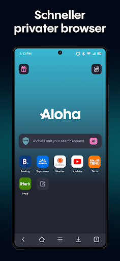 Aloha Private Browser - VPN PC