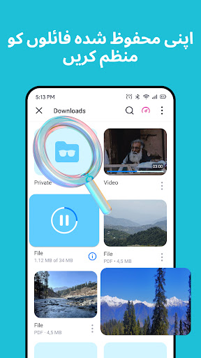 Aloha Browser Video Downloader پی سی