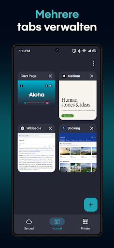 Aloha Private Browser - VPN PC