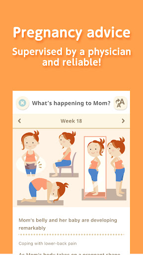 komputer 280days: Pregnancy Diary