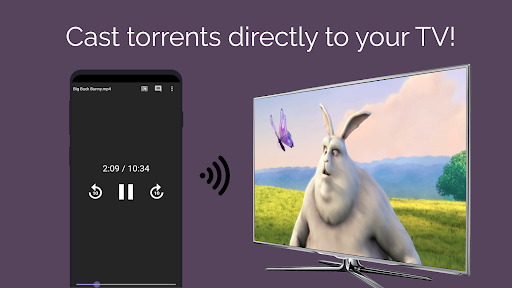 Amnis - Torrent Player PC