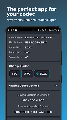 Bluetooth Codec Changer PC版