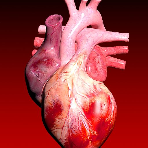 Circulatory System 3D Anatomy پی سی