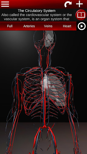 Circulatory System 3D Anatomy پی سی