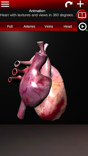 Circulatory System 3D Anatomy پی سی