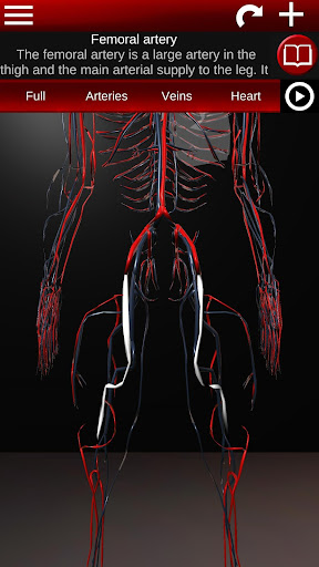 Circulatory System 3D Anatomy پی سی
