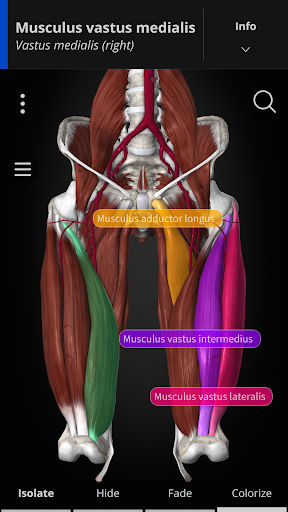 Anatomyka - 3D Anatomy Atlas الحاسوب