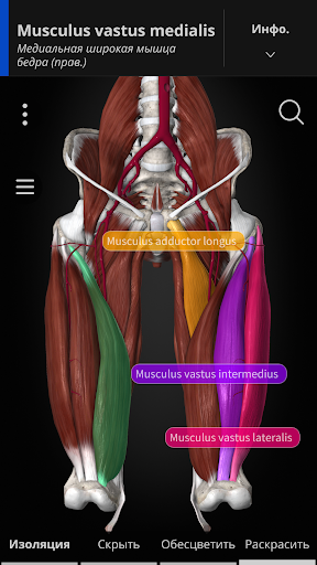 Anatomyka - 3D анатомия ПК