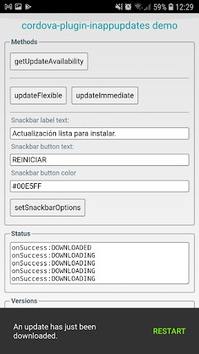 In-App Update Plugin Demo PC