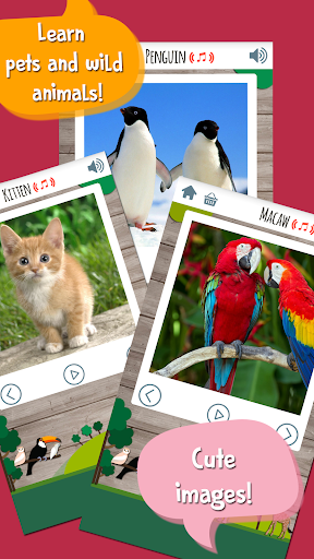 Kids Zoo Game: Toddler Games