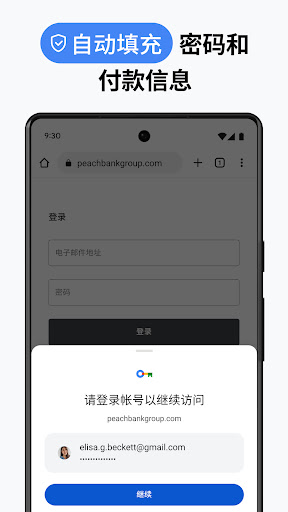 Google Chrome 浏览器电脑版