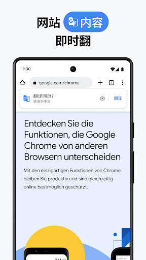 Google Chrome 浏览器