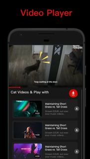 Video Downloader, Download VID PC