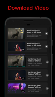 Video Downloader, Download VID PC