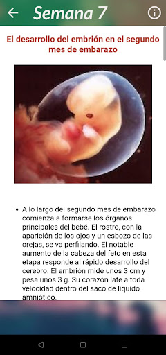 Control de Embarazo PC