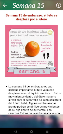 Control de Embarazo PC