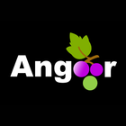 Angoor