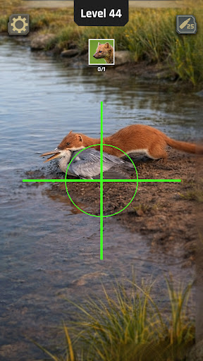 Animal Hunter: Wild Shooting پی سی