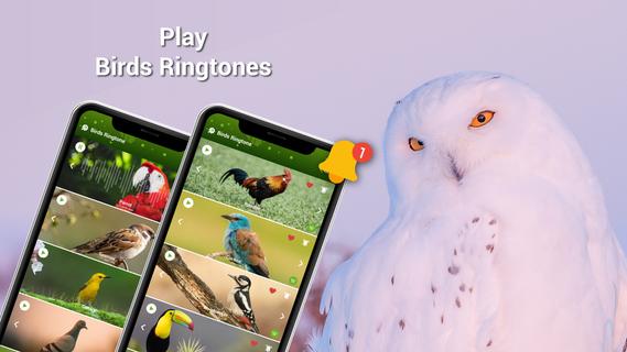 Animal Ringtones - Birds Sound PC