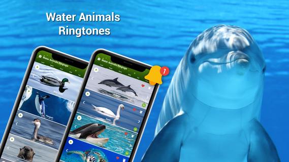 Animal Ringtones - Birds Sound PC