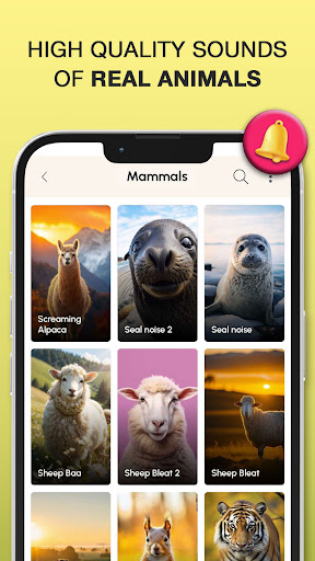 Animal Sounds and Ringtones پی سی
